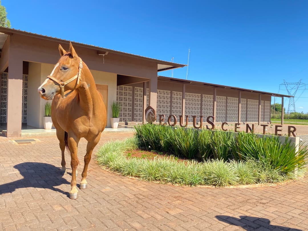 Imagem do Equus Center
